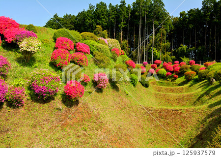 日本100名城・山中城(静岡) 日本100名城・山中城(静岡) 125937579