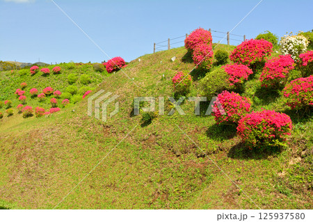 日本100名城・山中城(静岡) 日本100名城・山中城(静岡) 125937580