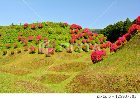 日本100名城・山中城(静岡) 日本100名城・山中城(静岡) 125937583
