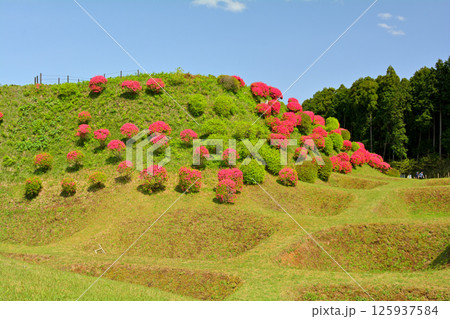日本100名城・山中城(静岡) 日本100名城・山中城(静岡) 125937584