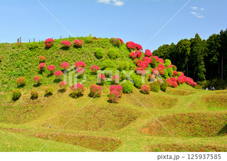 日本100名城・山中城（静岡） 125937585