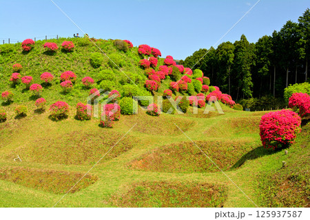 日本100名城・山中城（静岡） 125937587