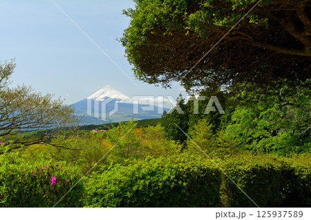日本100名城・山中城（静岡） 125937589
