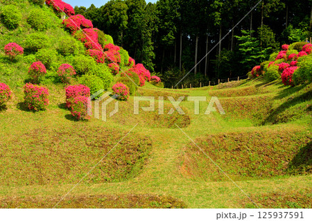 日本100名城・山中城(静岡) 日本100名城・山中城(静岡) 125937591