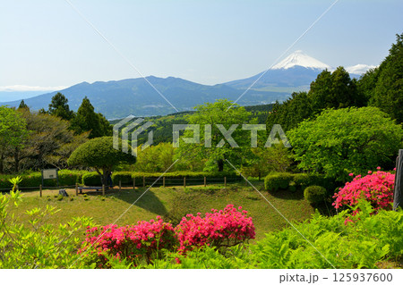 日本100名城・山中城（静岡） 125937600