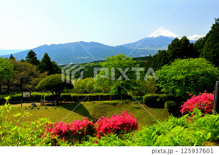 日本100名城・山中城（静岡） 125937601