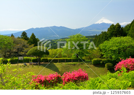 日本100名城・山中城（静岡） 125937603