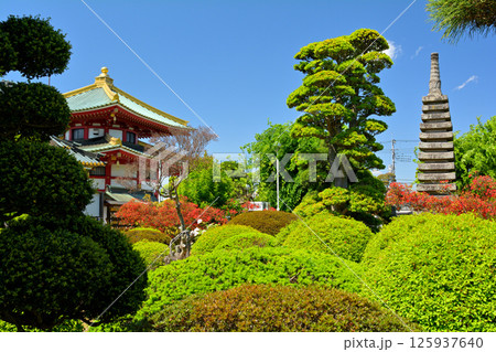 栃木・佐野厄除大師 栃木・佐野厄除大師 125937640