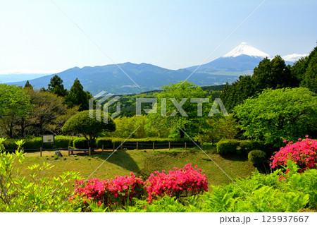 日本100名城・山中城（静岡） 125937667