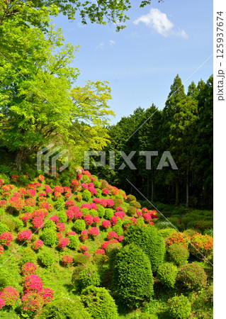 日本100名城・山中城（静岡） 125937674