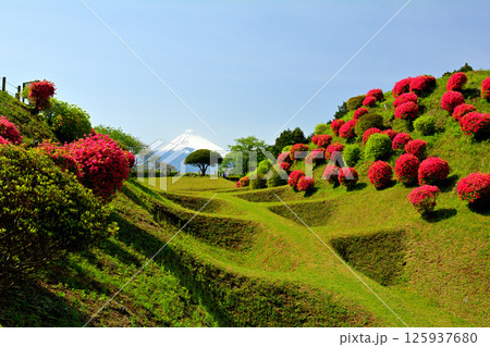 日本100名城・山中城（静岡） 125937680