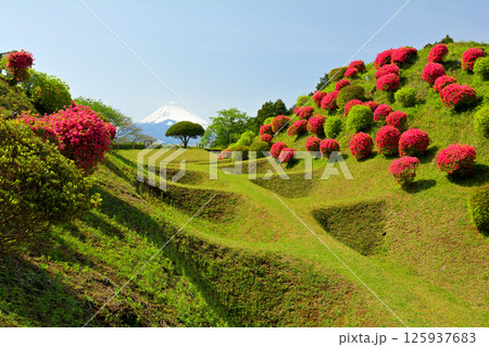 日本100名城・山中城(静岡) 日本100名城・山中城(静岡) 125937683