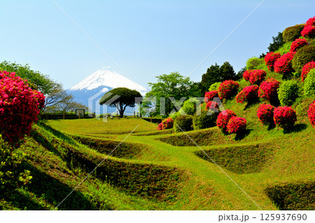 日本100名城・山中城（静岡） 125937690
