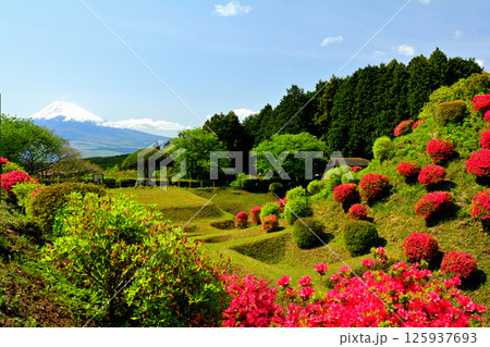 日本100名城・山中城（静岡） 125937693