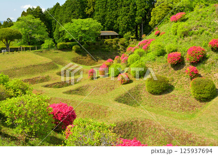 日本100名城・山中城（静岡） 125937694