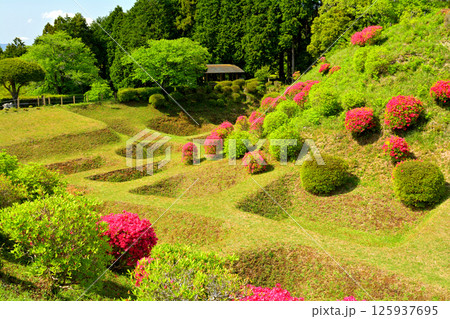 日本100名城・山中城（静岡） 125937695