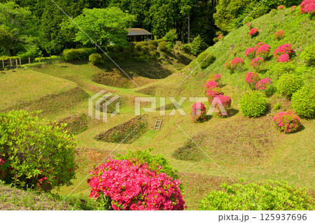 日本100名城・山中城（静岡） 125937696