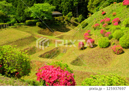 日本100名城・山中城(静岡) 日本100名城・山中城(静岡) 125937697
