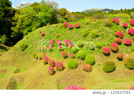 日本100名城・山中城（静岡） 125937701