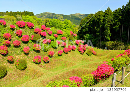 日本100名城・山中城（静岡） 125937703