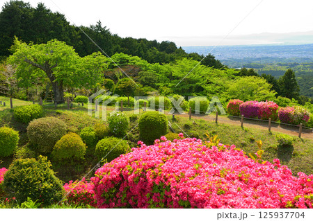 日本100名城・山中城（静岡） 125937704