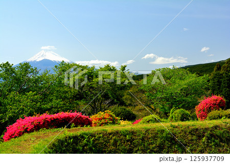 日本100名城・山中城（静岡） 125937709