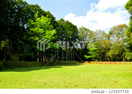 日本100名城・山中城(静岡) 日本100名城・山中城(静岡) 125937710