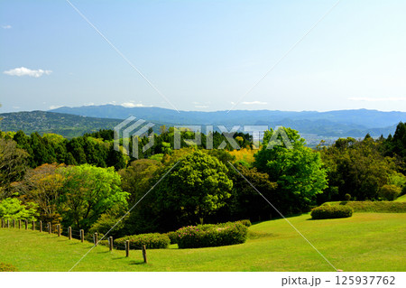 日本100名城・山中城（静岡） 125937762