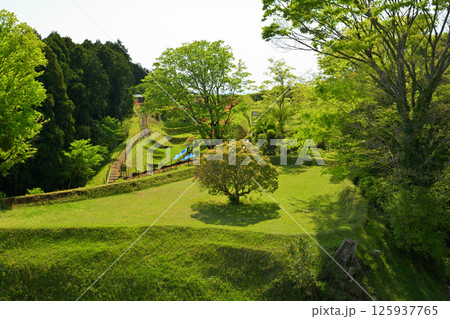 日本100名城・山中城（静岡） 125937765