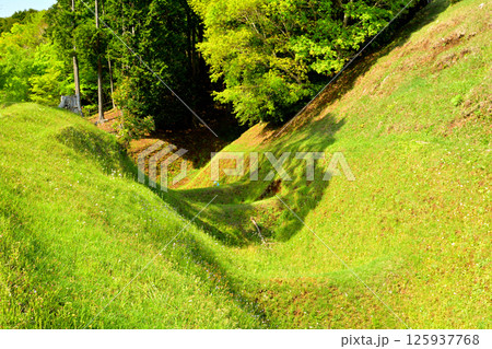 日本100名城・山中城（静岡） 125937768