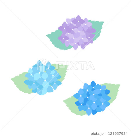 Hydrangea Flower Clipart / 紫陽花の花(3色) Hydrangea Flower Clipart / 紫陽花の花(3色) 125937924
