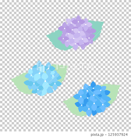 Hydrangea Flower Clipart / 紫陽花の花(3色) Hydrangea Flower Clipart / 紫陽花の花(3色) 125937924