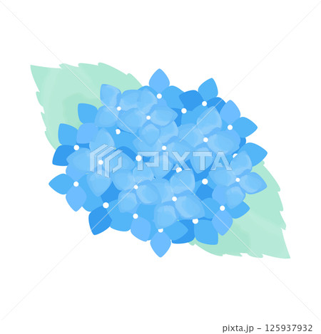 水彩風の青いあじさい_Hydrangea Flower Clipart 水彩風の青いあじさい_Hydrangea Flower Clipart 125937932