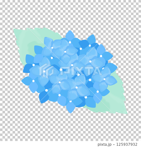 水彩風の青いあじさい_Hydrangea Flower Clipart 水彩風の青いあじさい_Hydrangea Flower Clipart 125937932