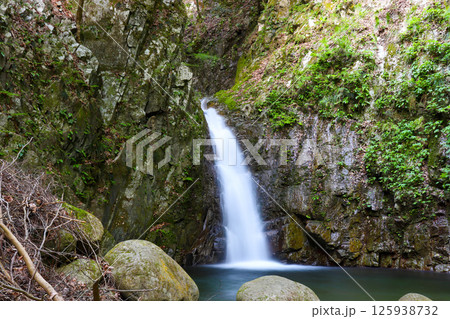 識蘆の滝（滋賀県東近江市） 125938732