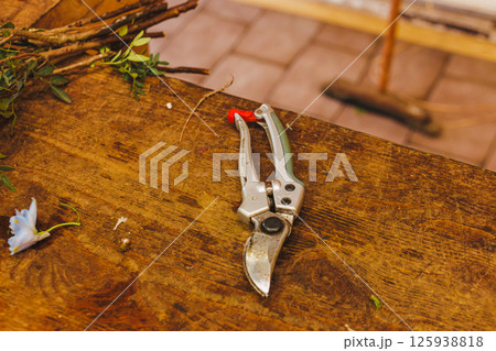 Gardening scissors lying on wooden table with cut branches Gardening scissors lying on wooden table with cut branches 125938818