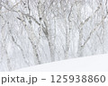 雪に覆われた冬の雑木林 125938860