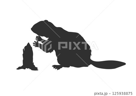 Beaver isolated silhouette. Groundhog black drawing. River animal template. Zoo logo template. Forest wildlife 125938875