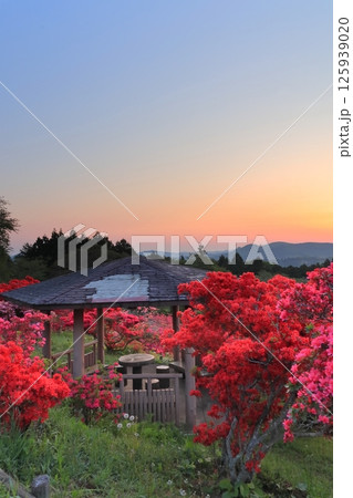 笠間つつじ公園の朝日 125939020