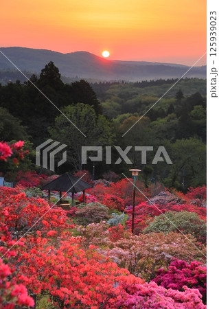 笠間つつじ公園の朝日 125939023