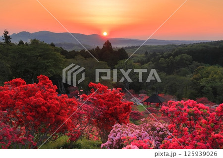 笠間つつじ公園の朝日 笠間つつじ公園の朝日 125939026