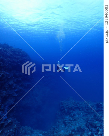 沖縄・石垣島海底をダイブする 沖縄・石垣島海底をダイブする 125940003
