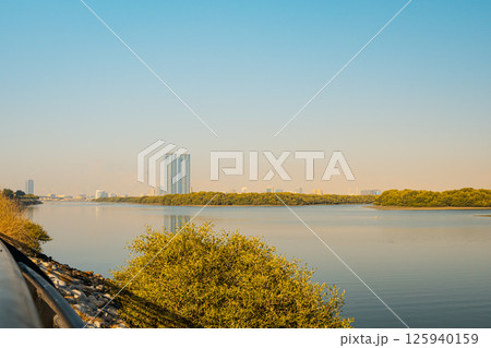 Ras al Khaimah city view, Palm-lined walkway Ras al Khaimah city view, Palm-lined walkway 125940159