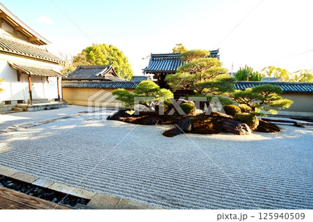 京都府 東寺 観智院・涅槃禄の庭「長者の庭」枯山水 京都市 南区 九条町 2022年2月 京都府 東寺 観智院・涅槃禄の庭「長者の庭」枯山水 京都市 南区 九条町 2022年2月 125940509