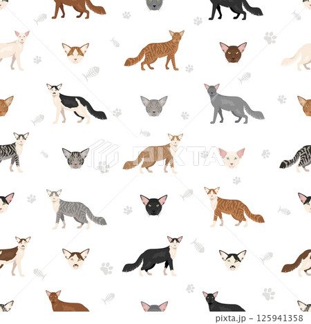 Oriental Longhair Cat clipart. All coat colors set.  All cat breeds characteristics infographic 125941358