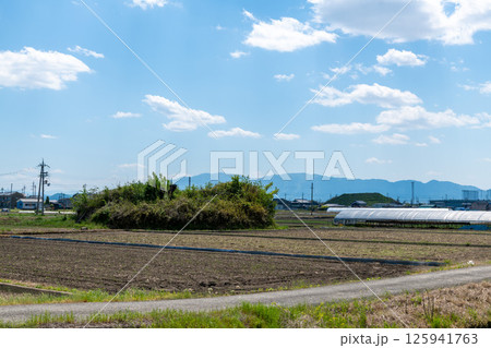 田植え前の水田地帯に佇む旧日本軍の柳本飛行場跡の南側防空壕跡 125941763