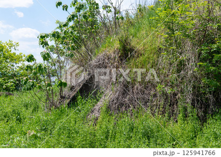 旧日本軍 柳本飛行場跡の南側防空壕開口部 旧日本軍 柳本飛行場跡の南側防空壕開口部 125941766