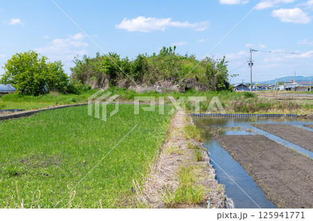田植え前の水田地帯に佇む旧日本軍の柳本飛行場跡の南側防空壕跡 125941771