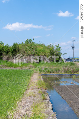 田植え前の水田地帯に佇む旧日本軍の柳本飛行場跡の南側防空壕跡 125941772