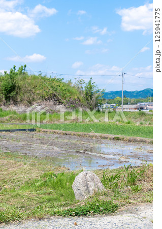 柳本飛行場跡南側防空壕跡と道端の石仏 柳本飛行場跡南側防空壕跡と道端の石仏 125941775